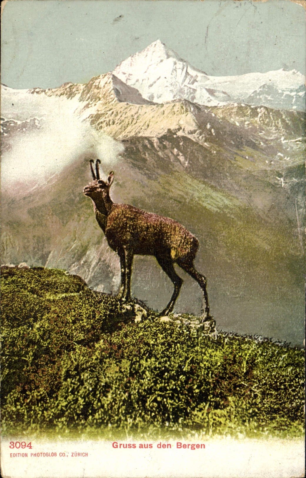 VINTAGE POSTCARD Chamois Gruss aus den Bergen