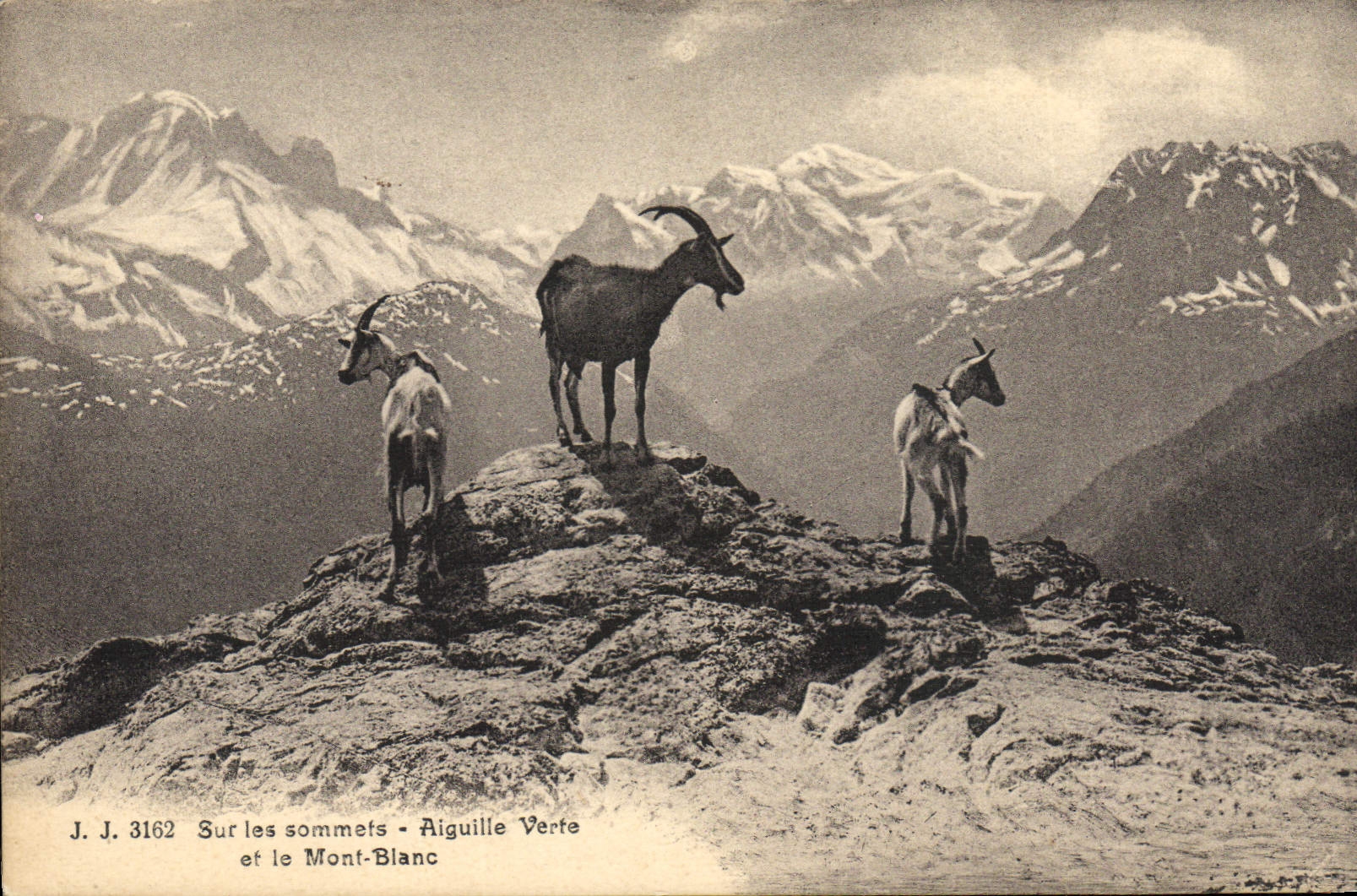 CPA Chevre Sur les sommets Aiguille verte et le Mont Blanc 