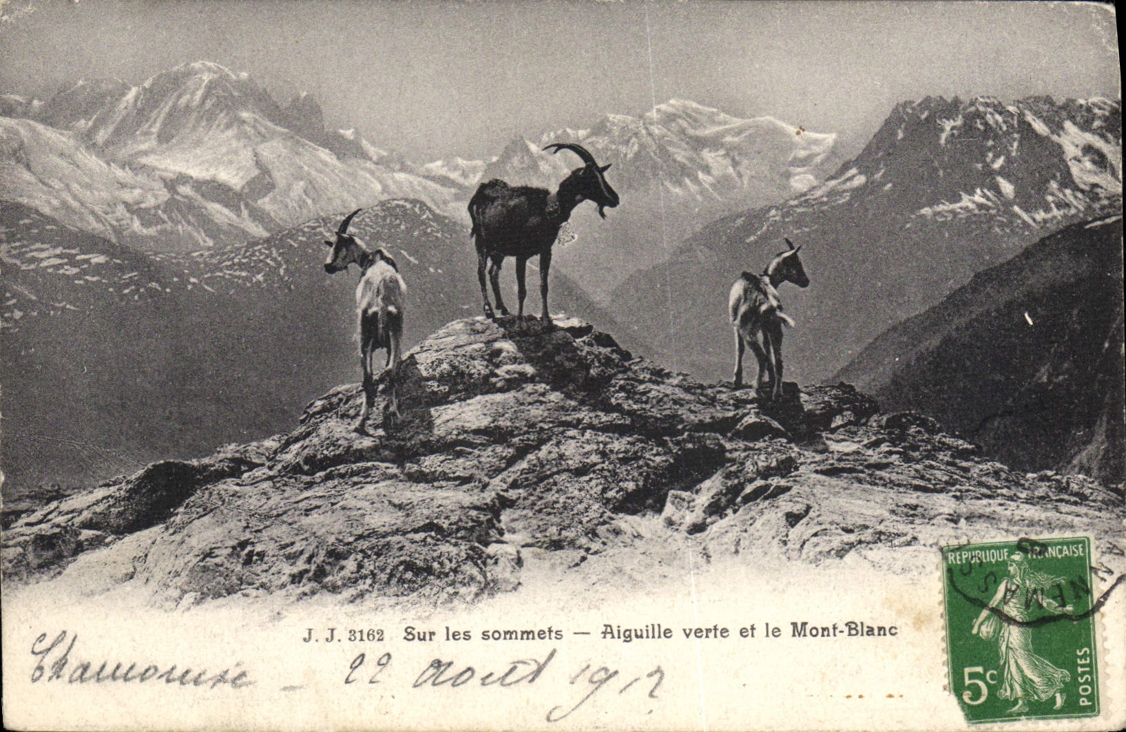CPA Chevre Sur les sommets Aiguille verte et le Mont Blanc 