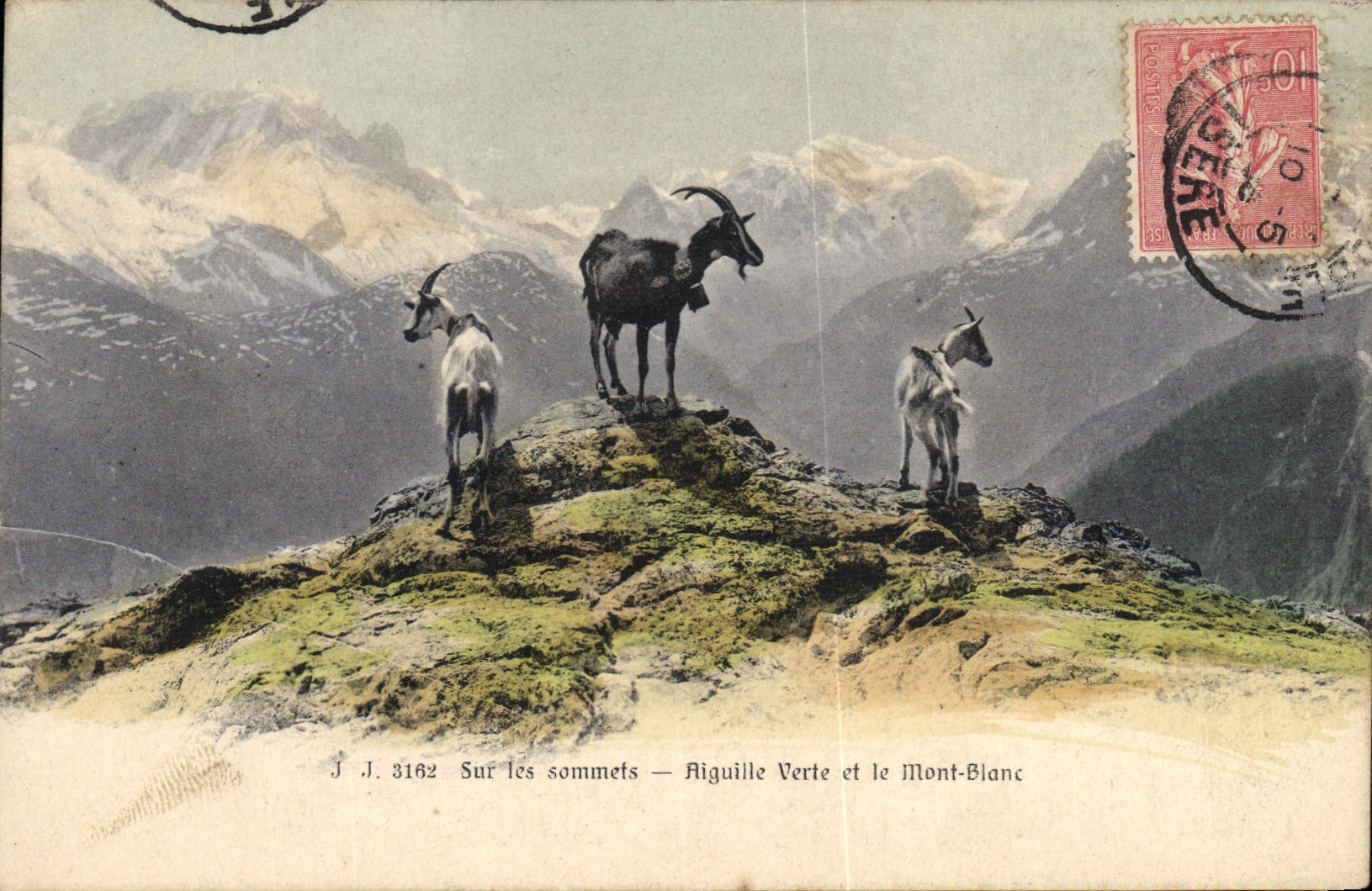 CPA Chevre Sur les sommets Aiguille verte et le Mont Blanc 