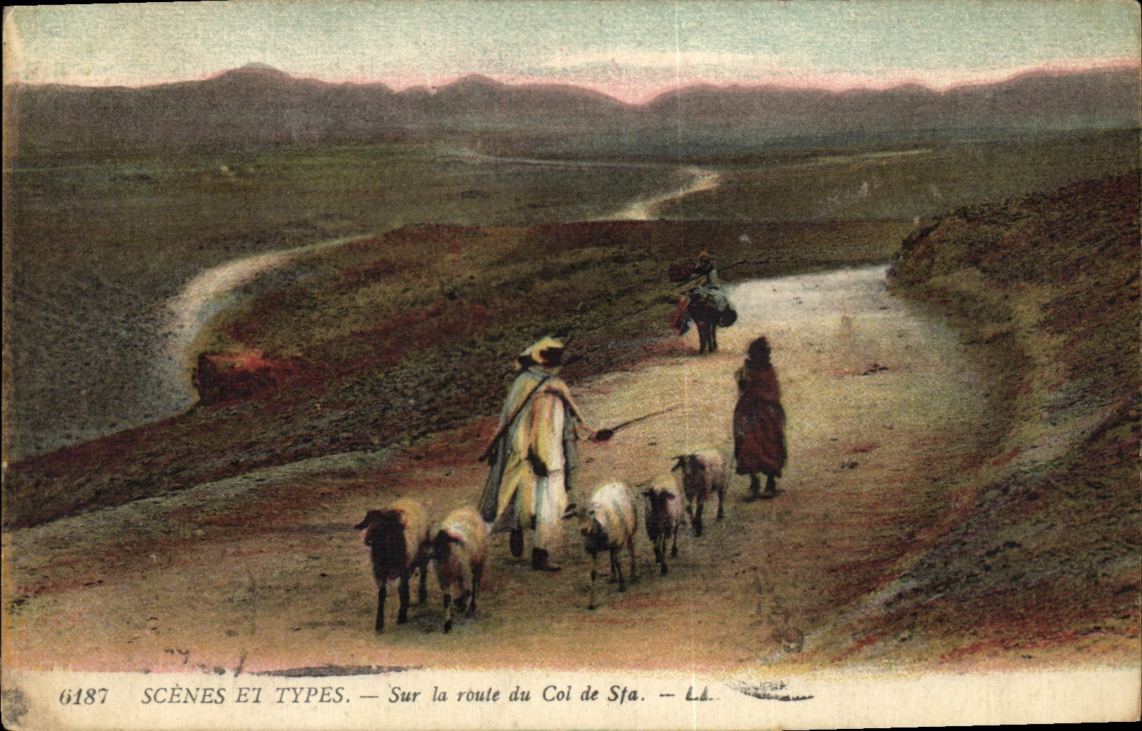 VINTAGE POSTCARD On the road of the collar of Sfa Sheep