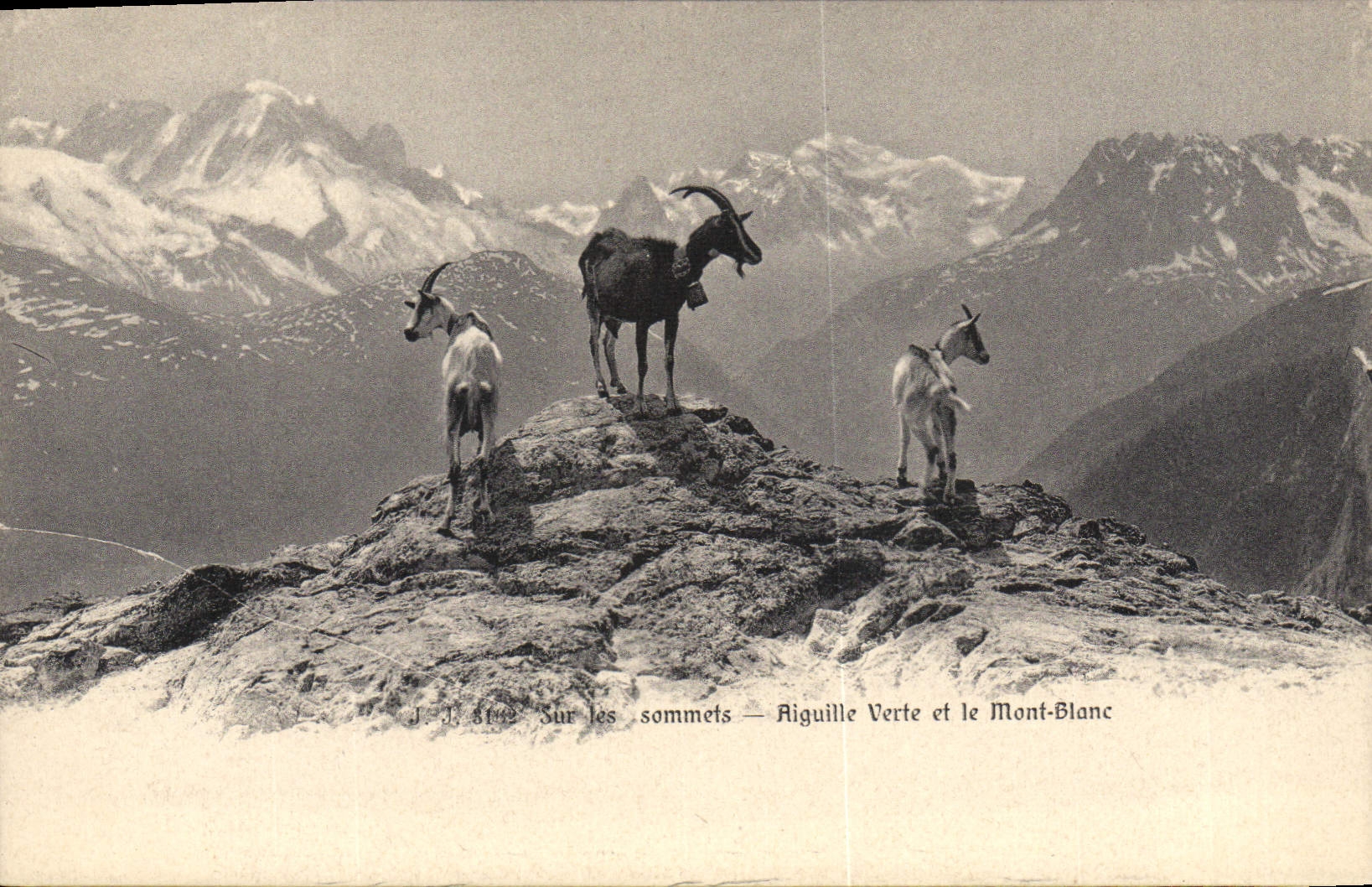 CPA Chevre Sur les sommets Aiguille verte et le Mont Blanc 