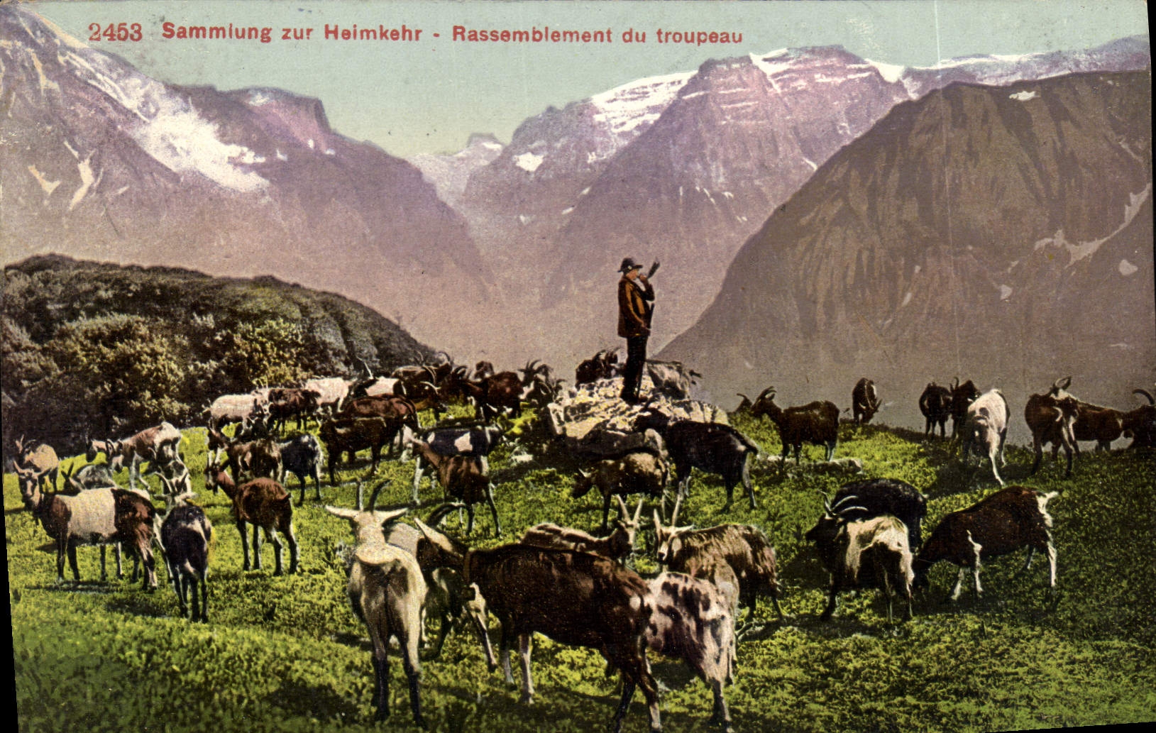CPA Chevre Sammlung zur Heimkekr 