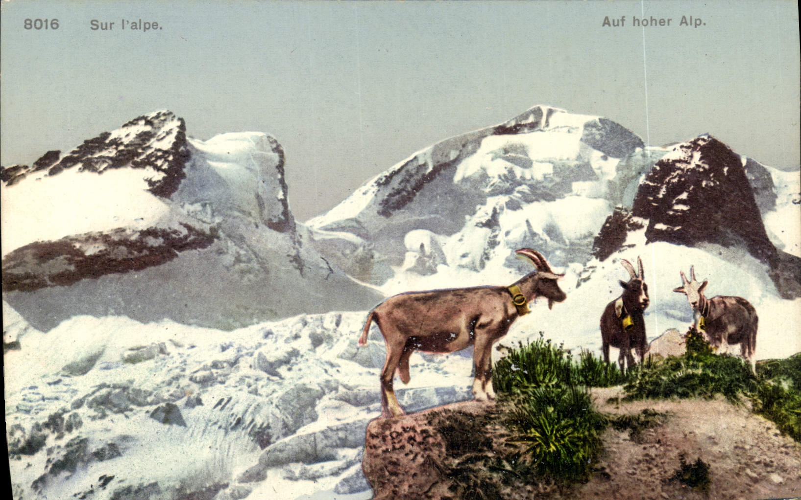 CPA Chevre Sur l'Alpe
