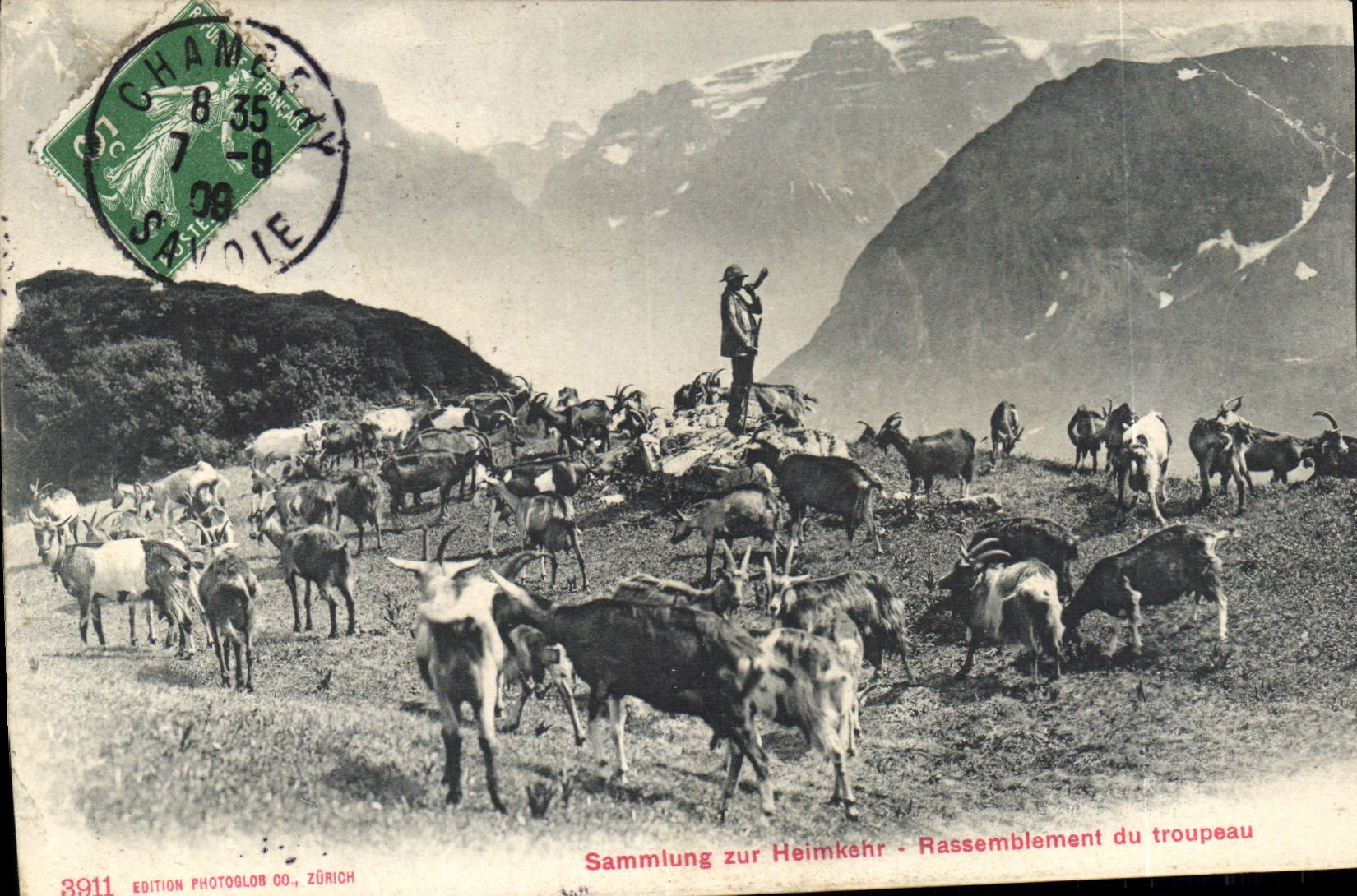 CPA Chevre Rassemblement du troupeau