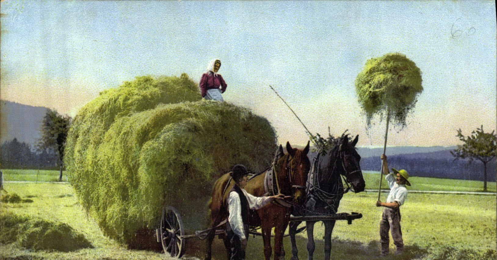 CPA Folklore Attelage 