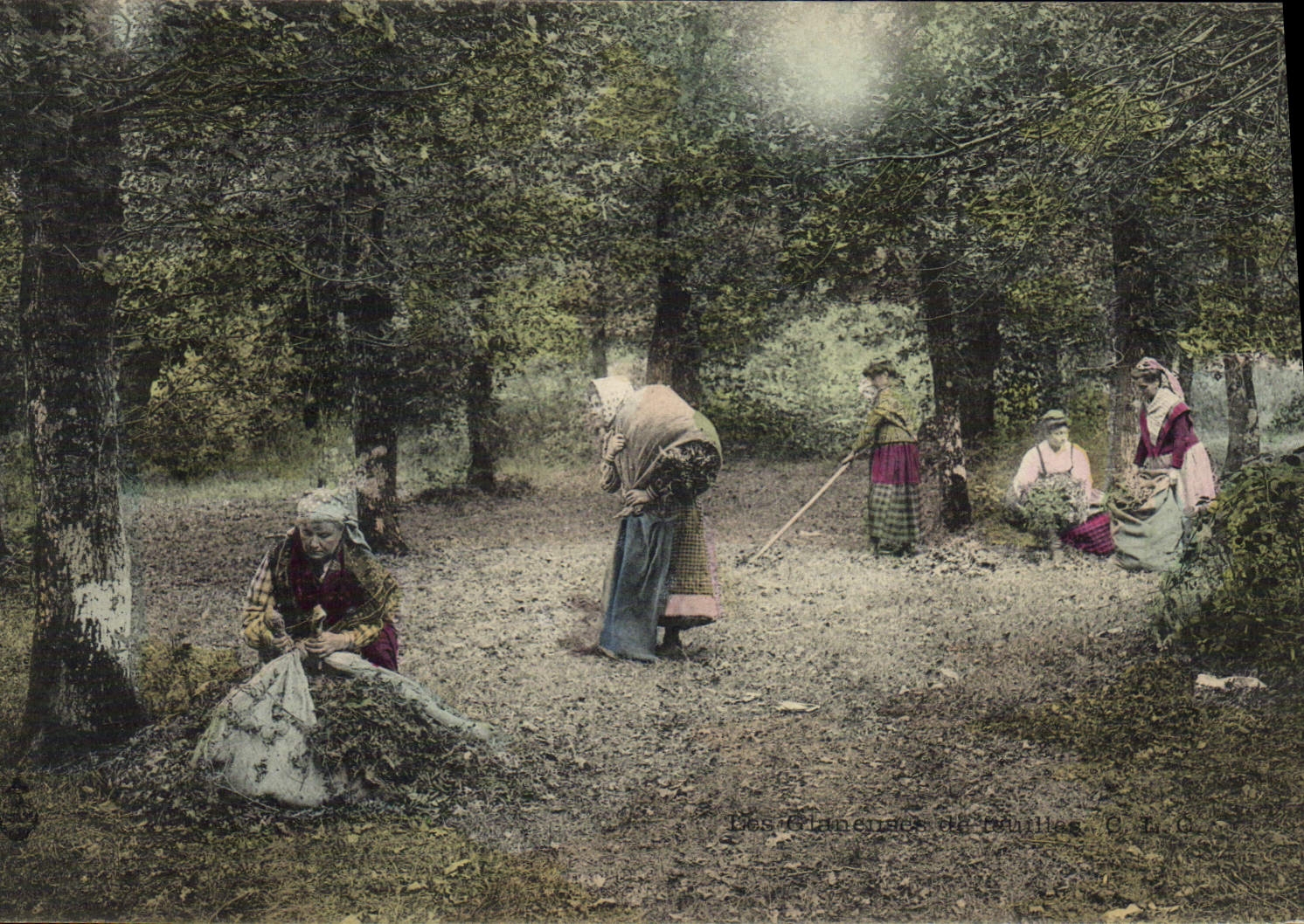 CPA Folklore Les glaneuses de feuilles