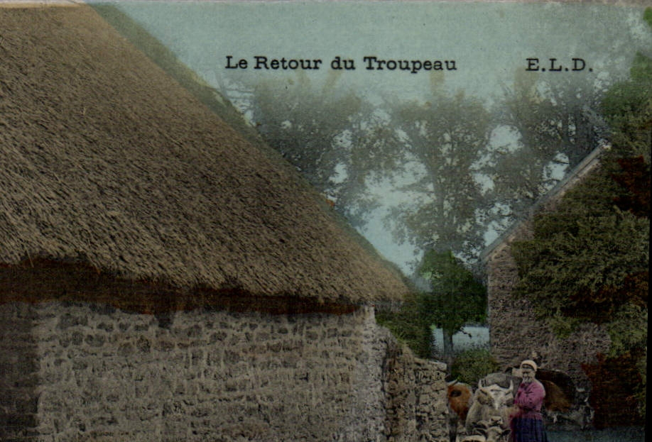 CPA Folklore Le retour du troupeau