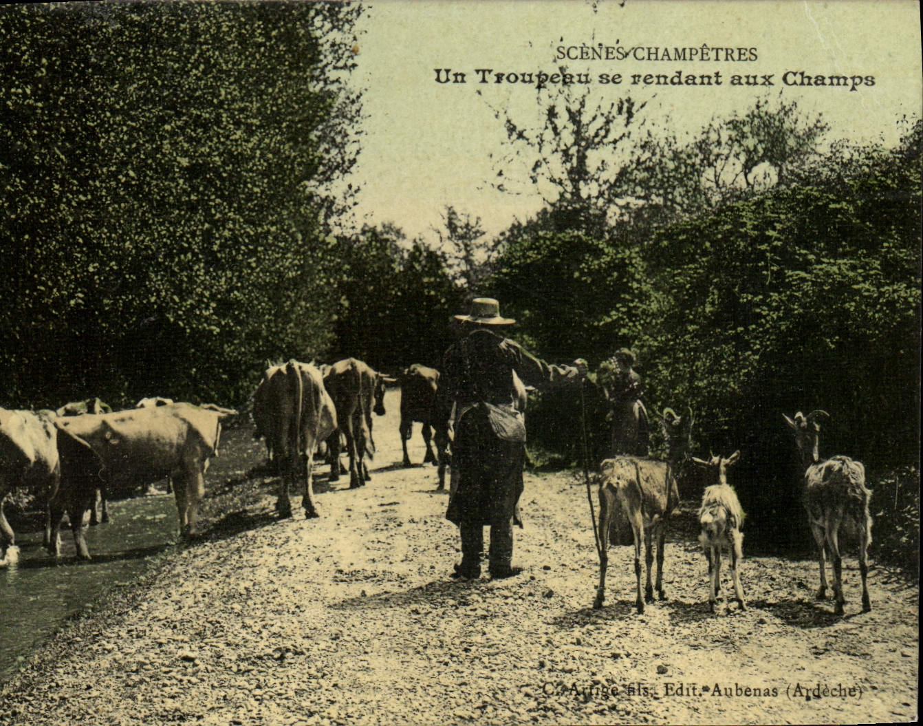 CPA Folklore Un troupeau se rendant aux champs Chevre Vaches