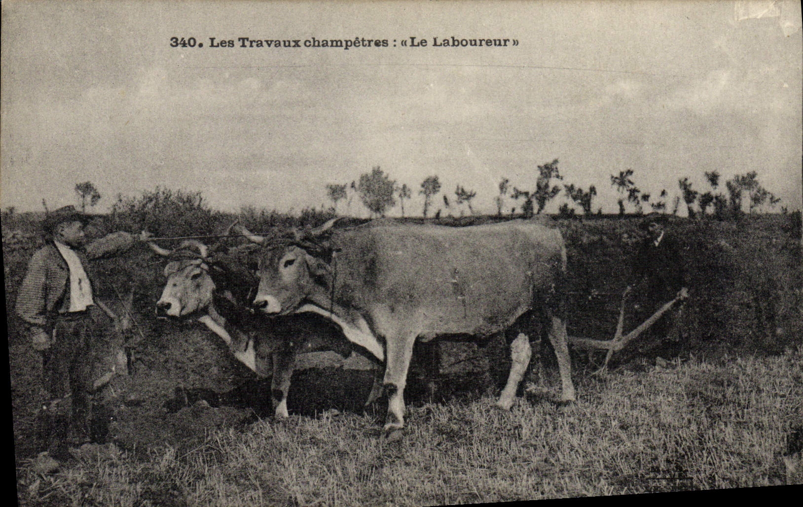 Trabajo pastoral del folklore de la POSTAL de la VENDIMIA el plowman