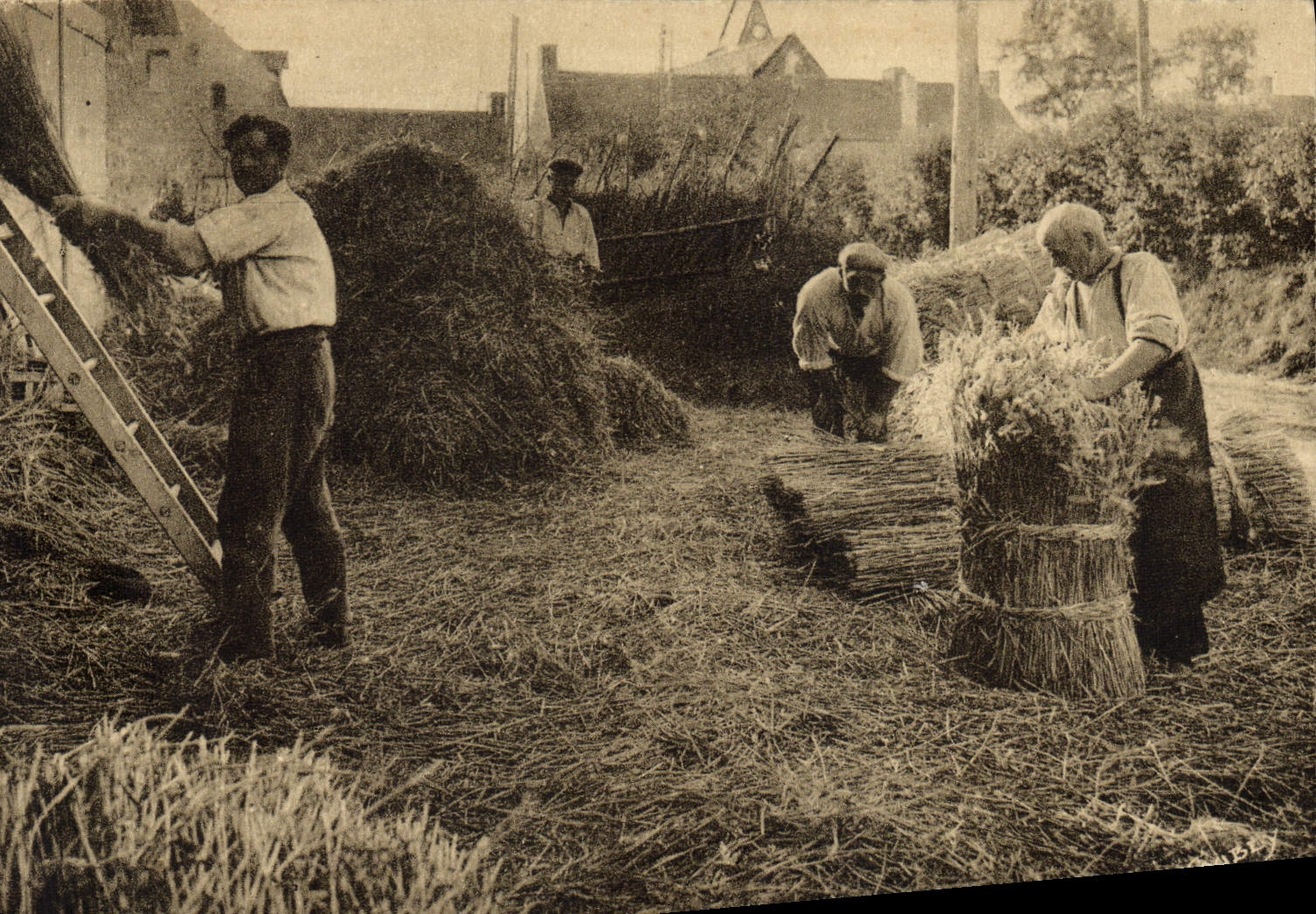 Folklore de Normandía de la POSTAL de la VENDIMIA para la industria de la ropa y el mantenimiento de nuestras azoteas hermosas de la paja