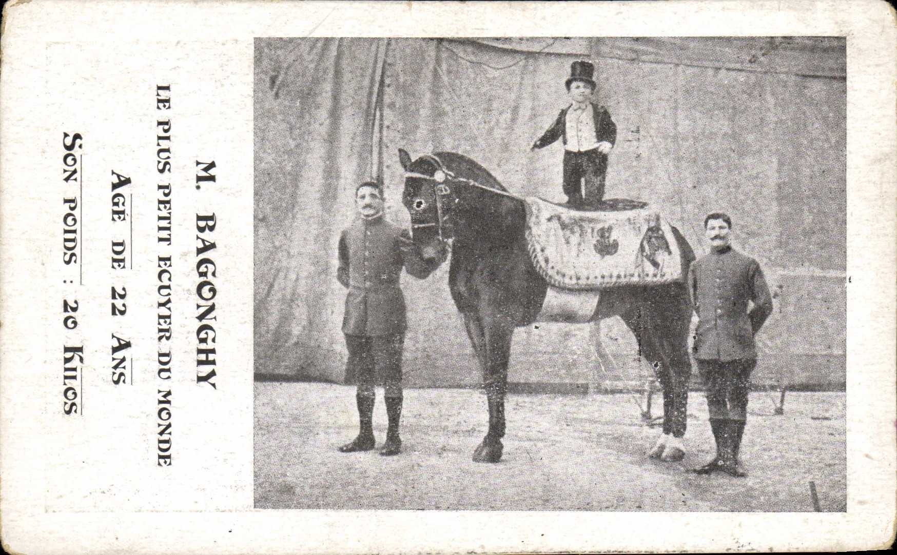 Enano Foklore Bagonghy de la POSTAL de la VENDIMIA el jinete más pequeño del caballo del mundo