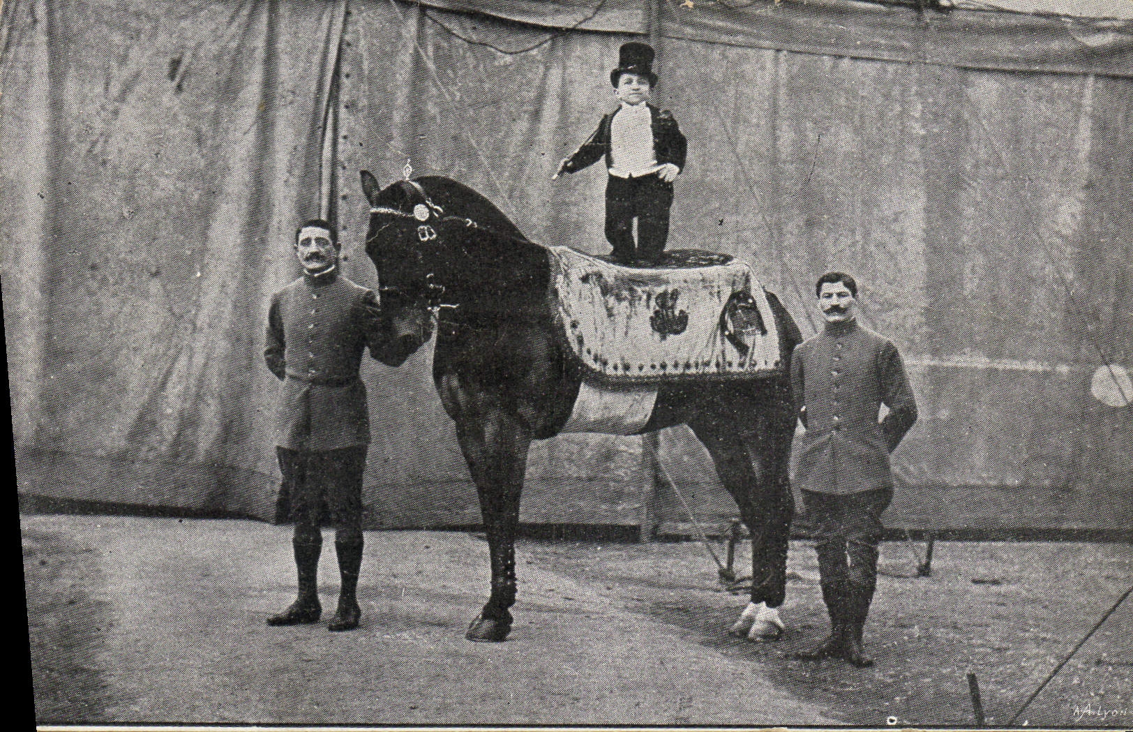 Caballo de Foklore del enano de la POSTAL de la VENDIMIA