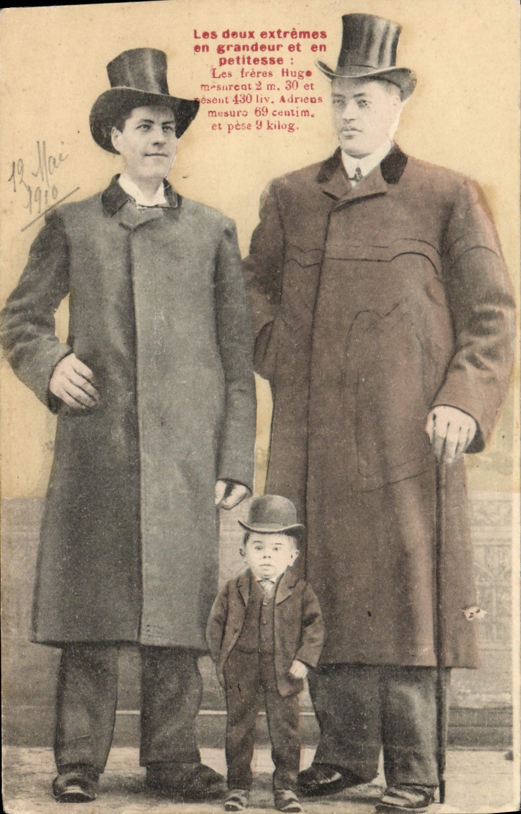 VINTAGE POSTCARD Giant Dwarf Foklore the brothers Hugo Adriens TOP