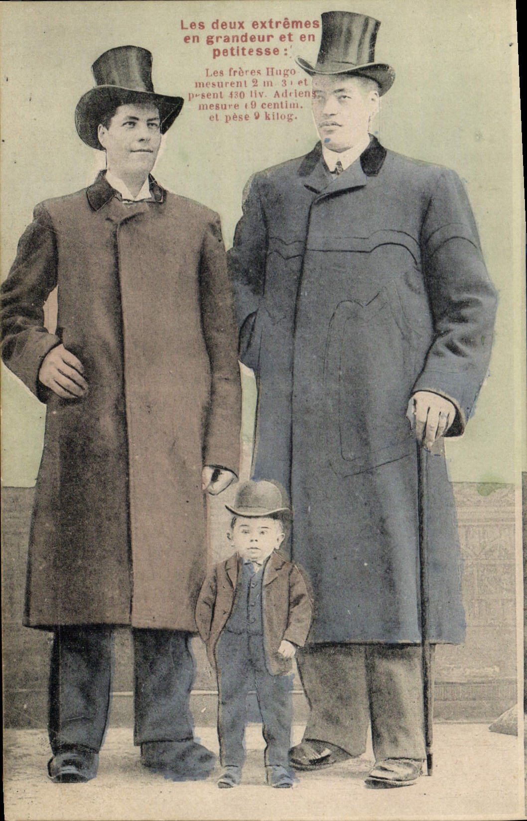 VINTAGE POSTCARD Giant Foklore Brothers Hugo Adrien