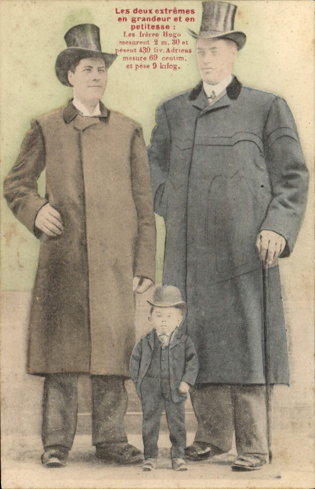 CPA Foklore Geant Freres Hugo Adriens Nain