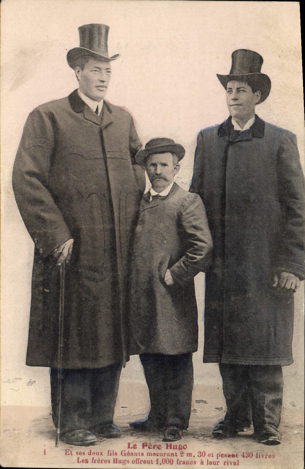 VINTAGE POSTCARD Foklore the father Hugo giant Wire TOP