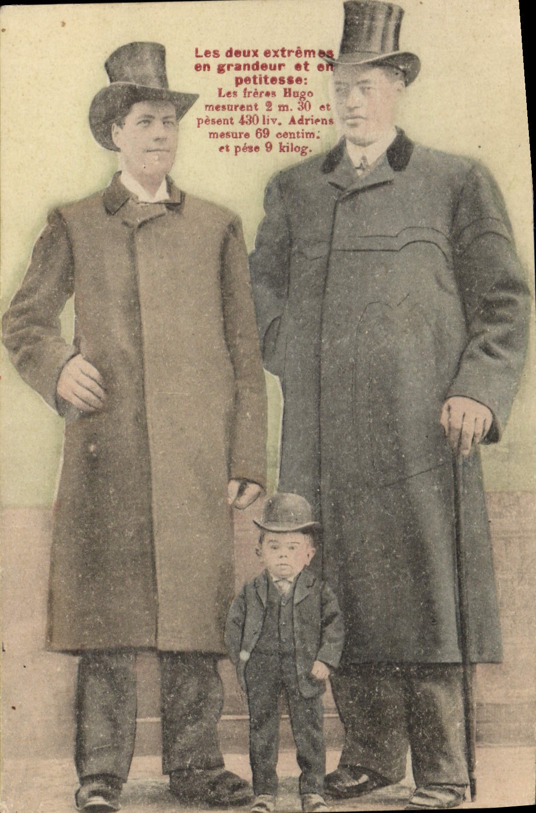 CPA Foklore Geant Freres Hugo Adriens Nain