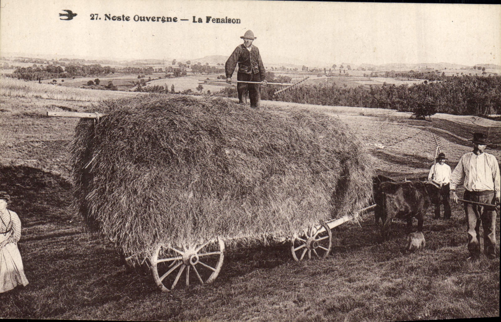VINTAGE POSTCARD Folklore Noste Ouvergne the haymaking