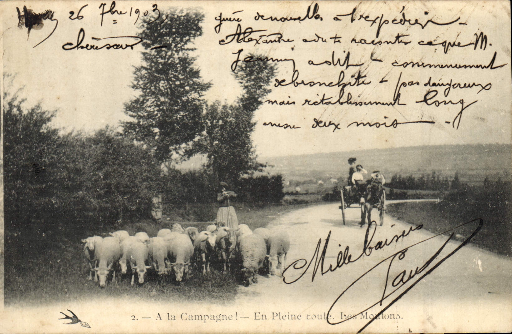 VINTAGE POSTCARD Folklore In full road the sheep AttelageAne Mule