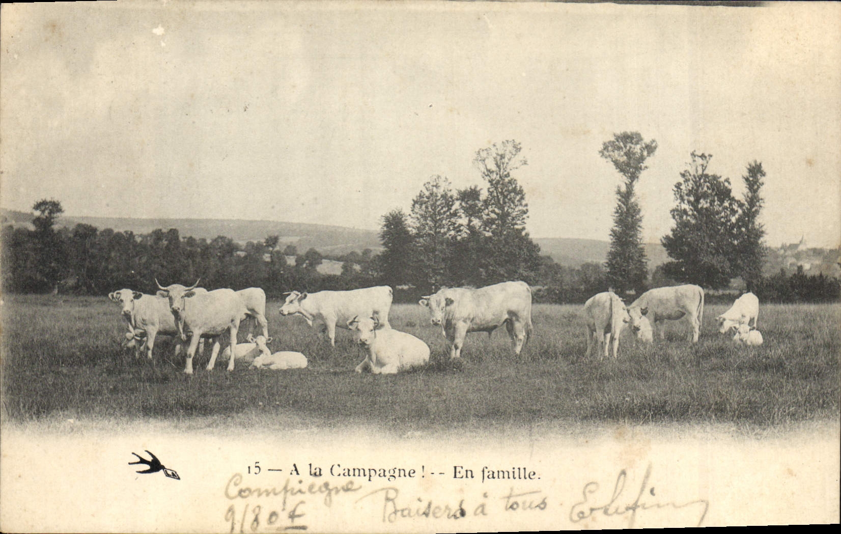 VINTAGE POSTCARD Folklore In Cows family