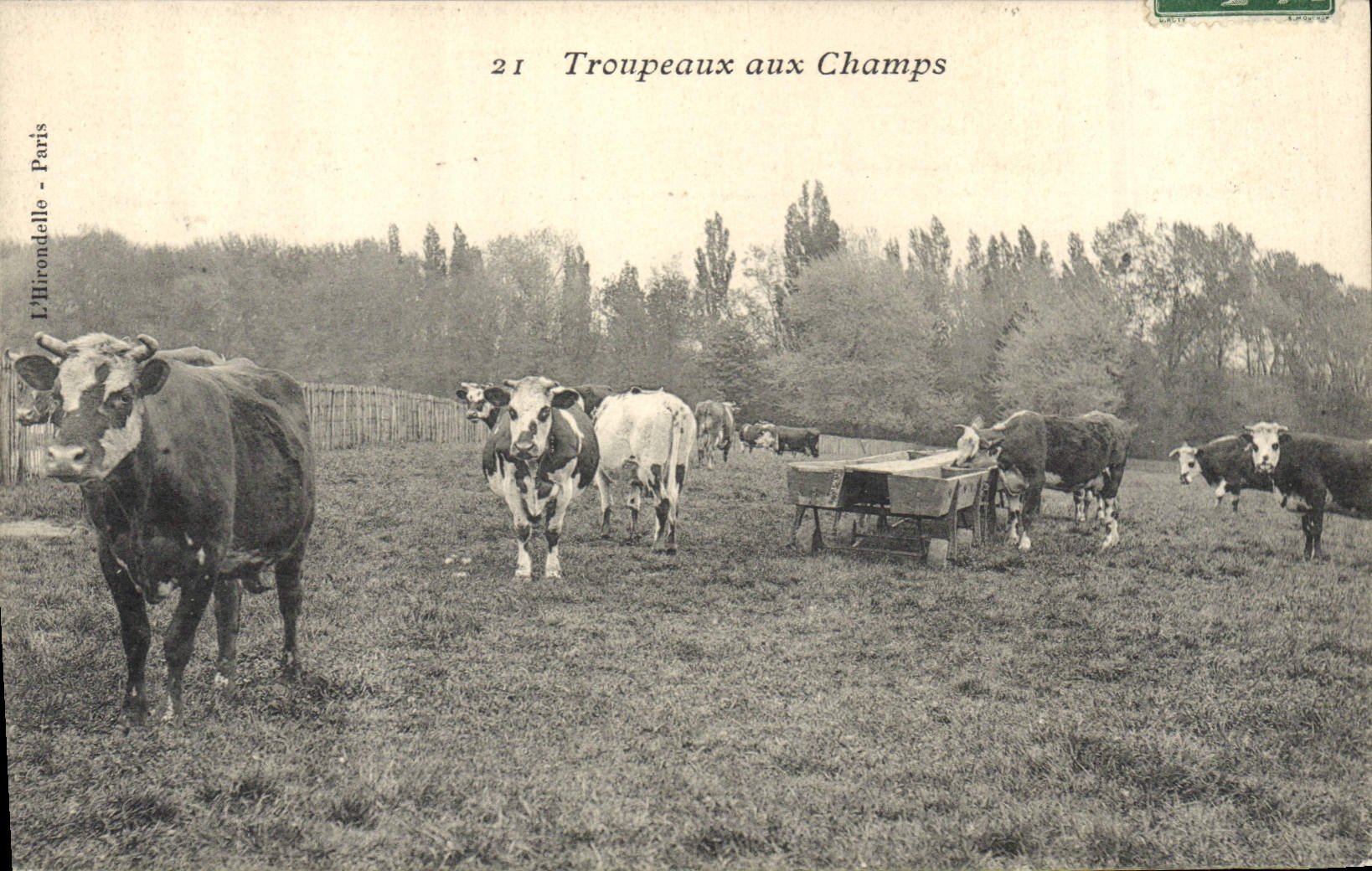 VINTAGE POSTCARD Folklore Herds with the fields Cows