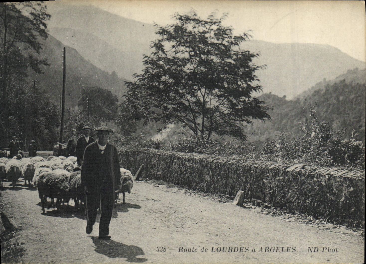 CPA Folklore Route de Lourdes a Argeles Moutons
