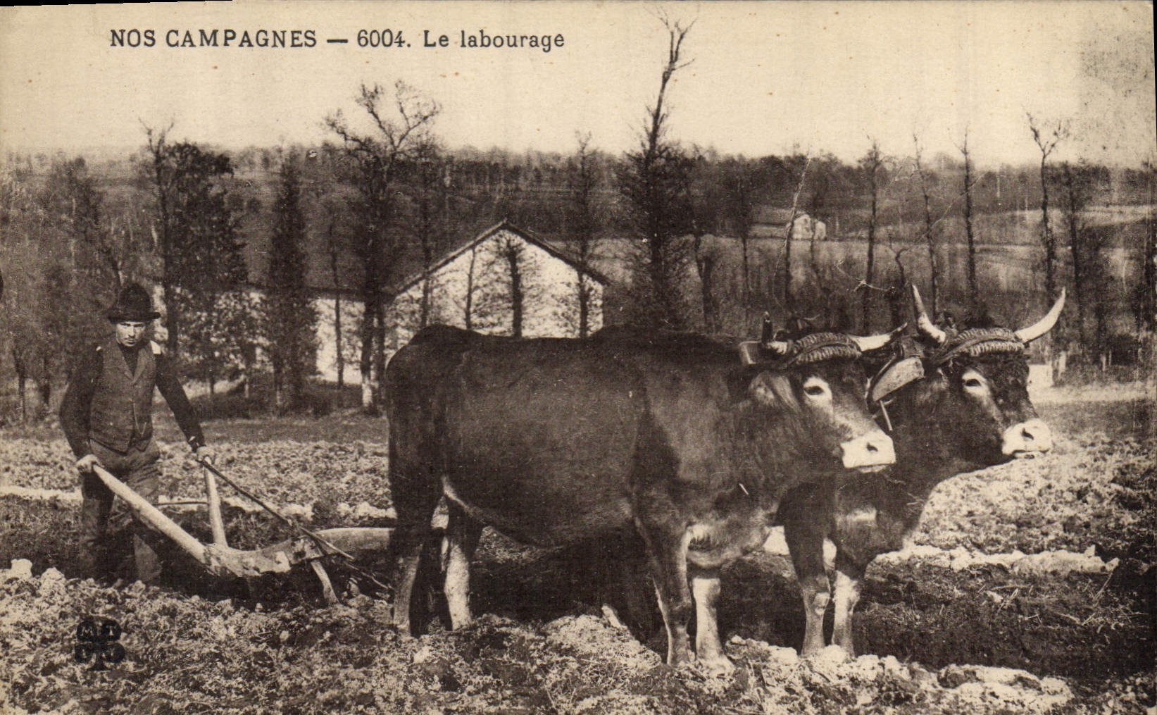 CPA Folklore Le labourage Boeufs 