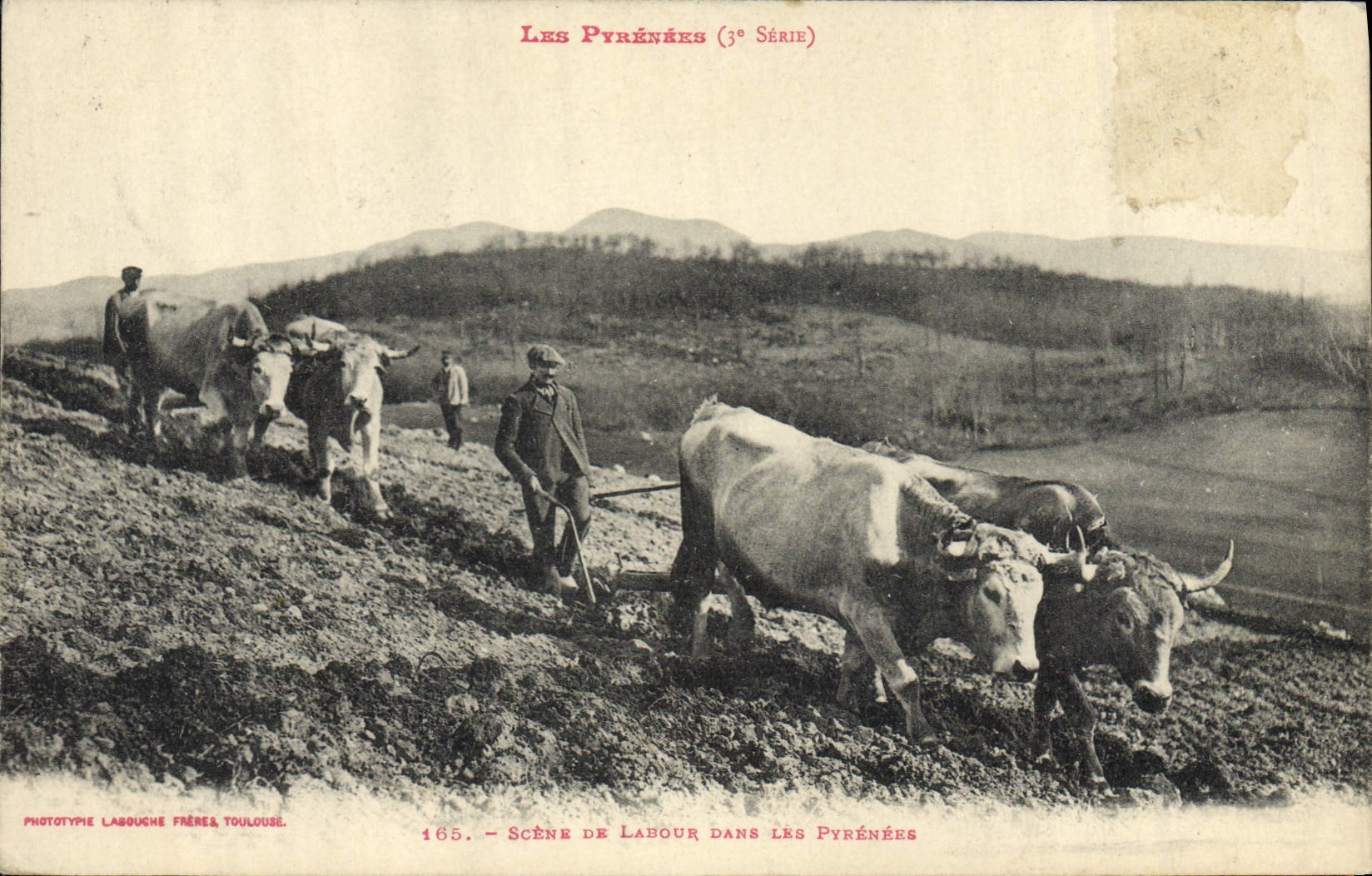 CPA Folklore Pyrenees Scene de labour dans les Pyrenees