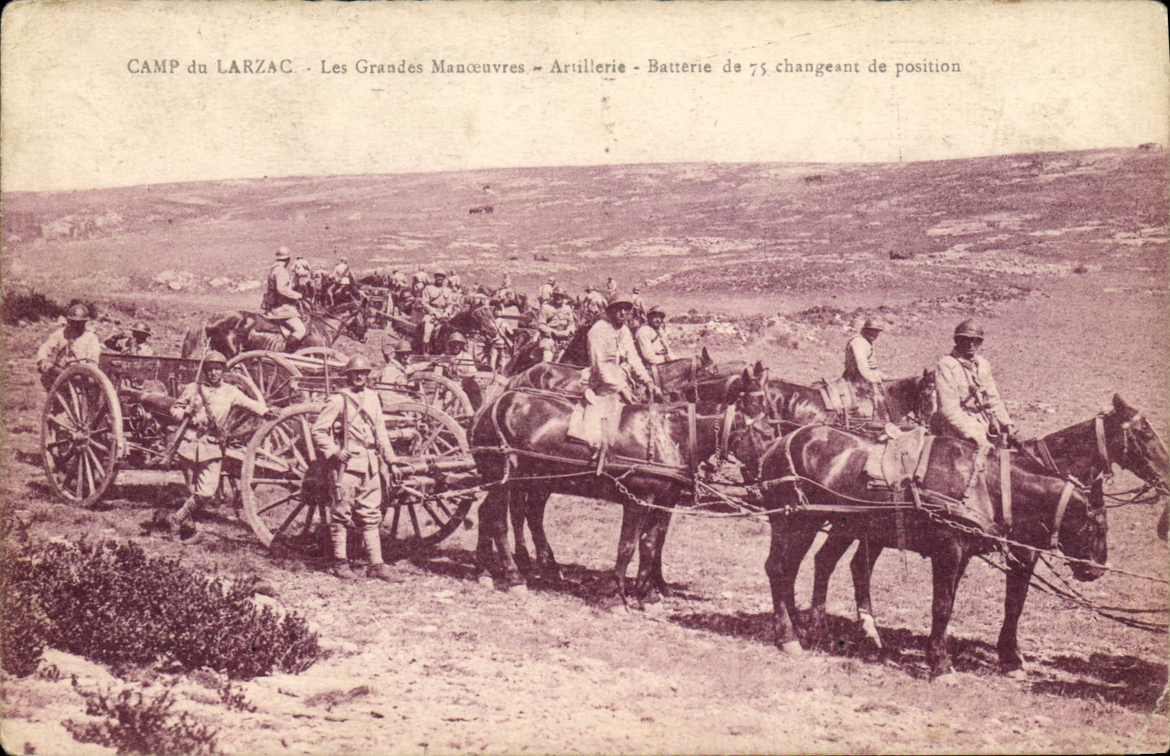CPA Militaria Camp du Larzac Les grandes manoeuvres Artillerie Batterie de 75 changeant de position