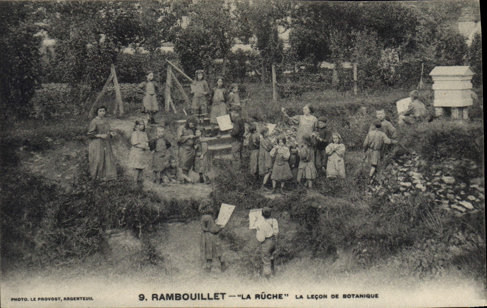 VINTAGE POSTCARD Rambouillet the hive the lesson of botany
