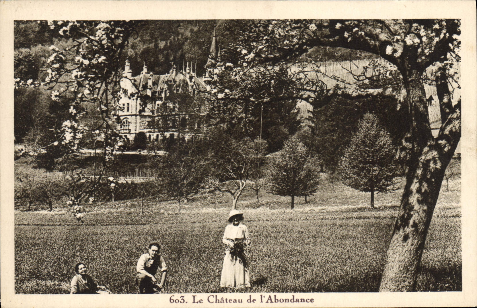 VINTAGE POSTCARD the castle of Abundance