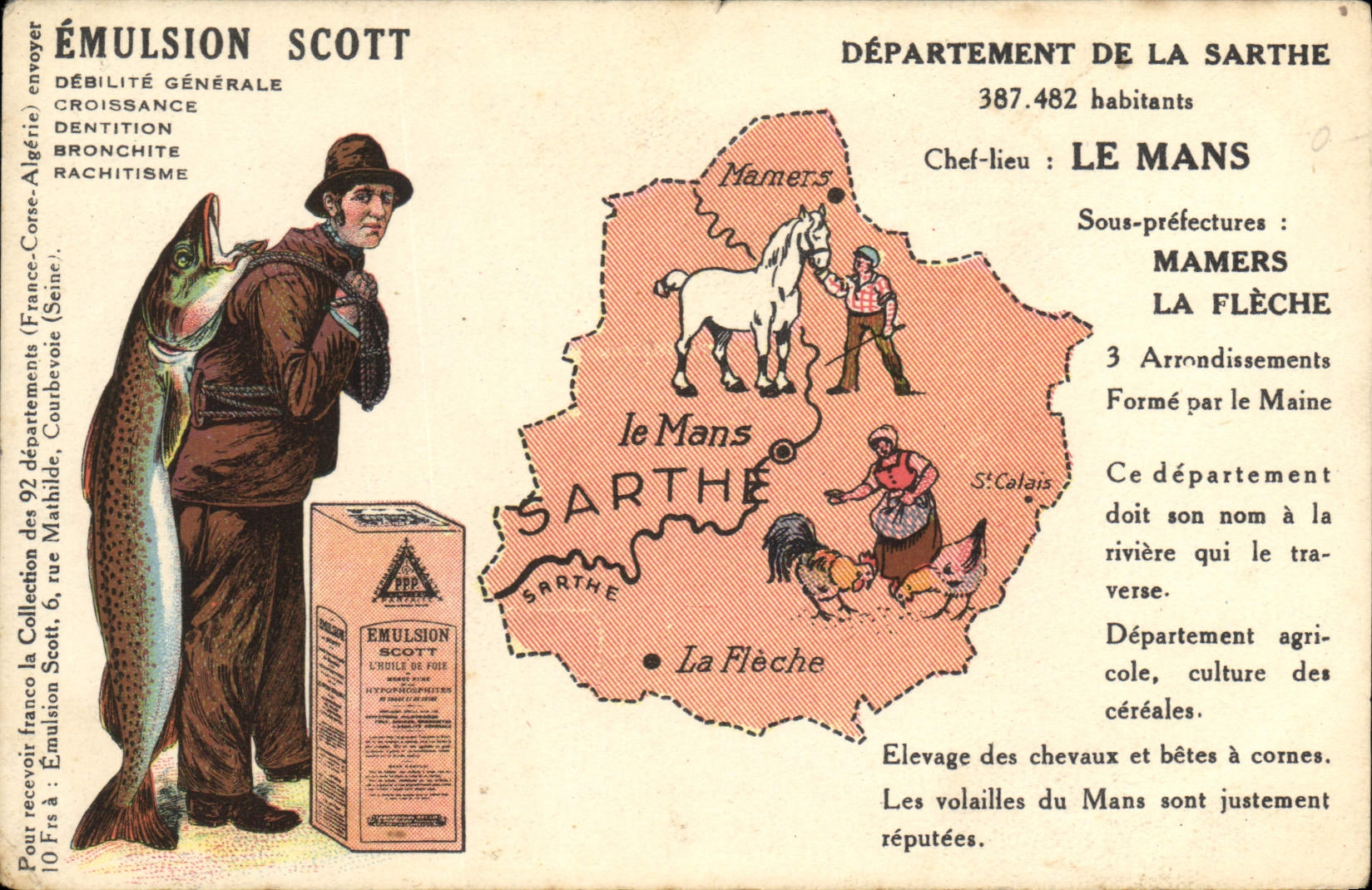 VINTAGE POSTCARD Emulsion Scott Poisson Sarthe Department Mans Mamers the Arrow Horse