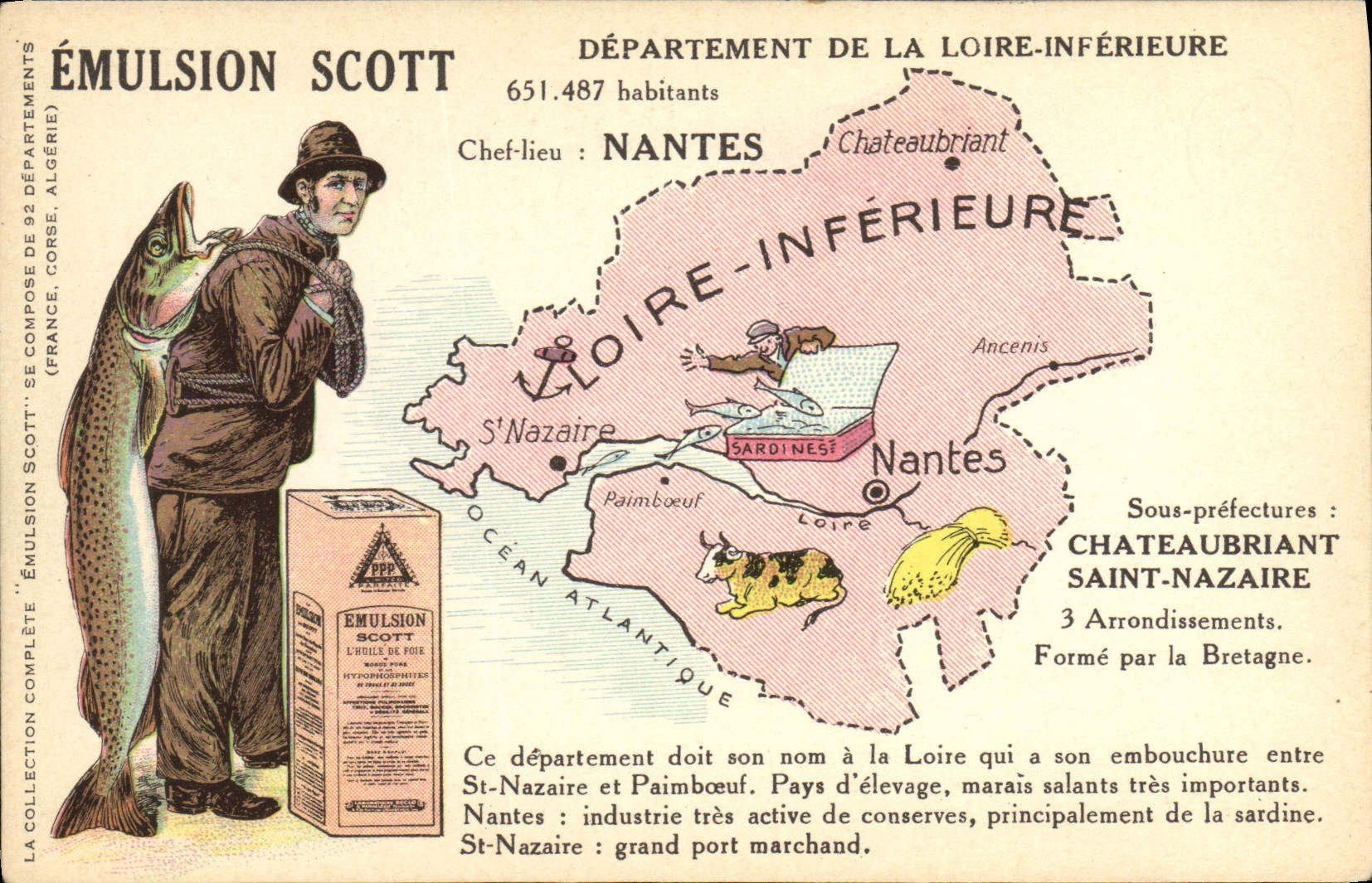 VINTAGE POSTCARD Emulsion Scott Poisson Department the Lower Loire Nantes Chateaubriant Saint Nazaire Cow