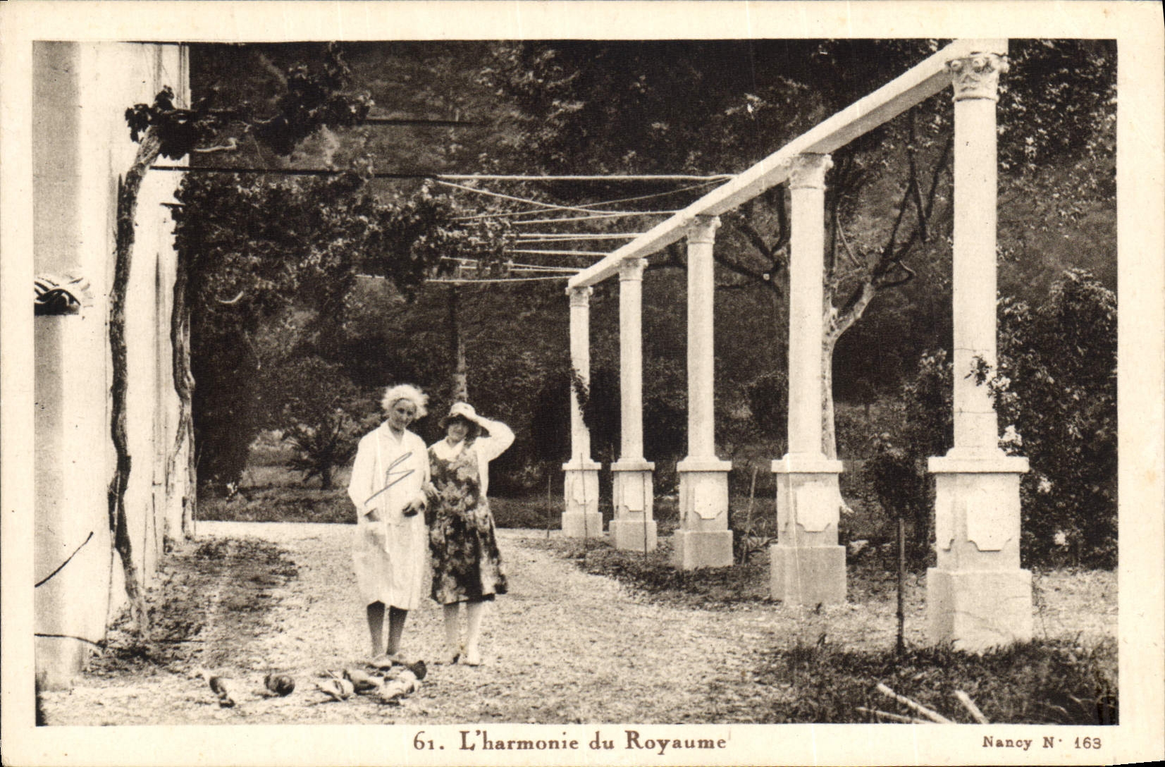 VINTAGE POSTCARD the harmony of the Kingdom