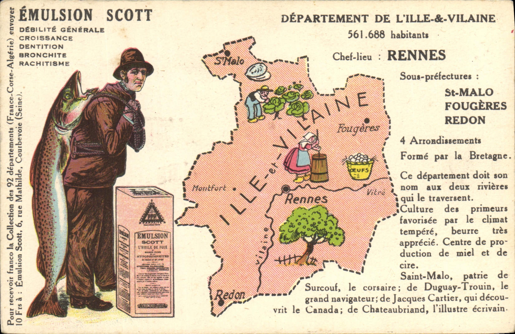 VINTAGE POSTCARD Emulsion Scott Department Ille and Vilaine Reindeer St Malo Redon Ferns