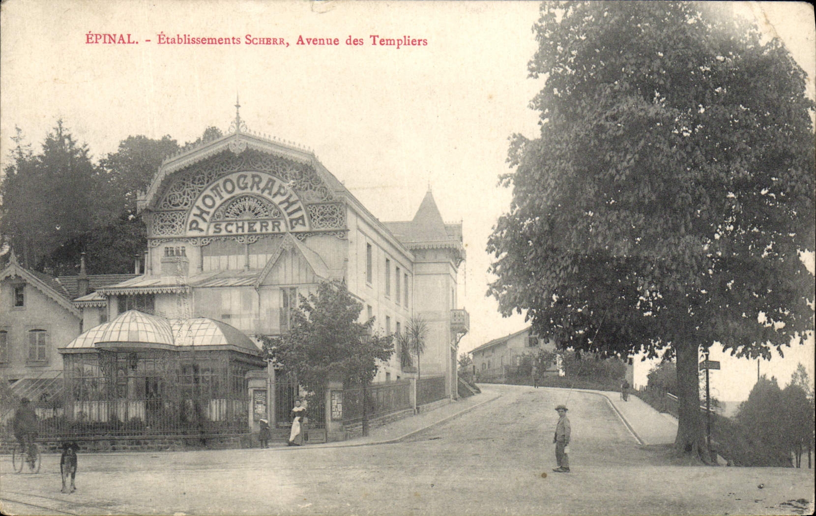 VINTAGE POSTCARD Photography Epinal Establishments Scherr Avenue of Templiers