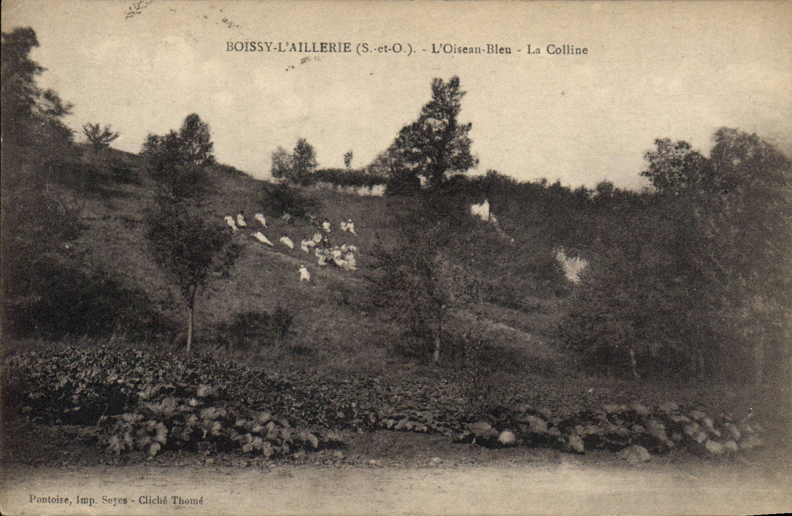 VINTAGE POSTCARD Boissy Children Aillerie the blue bird the hill