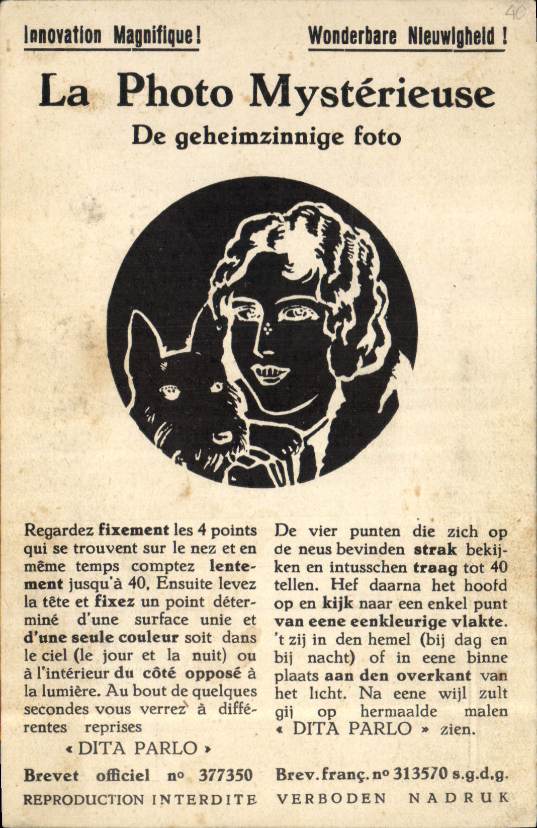 VINTAGE POSTCARD Photography the mysterious photograph Dog