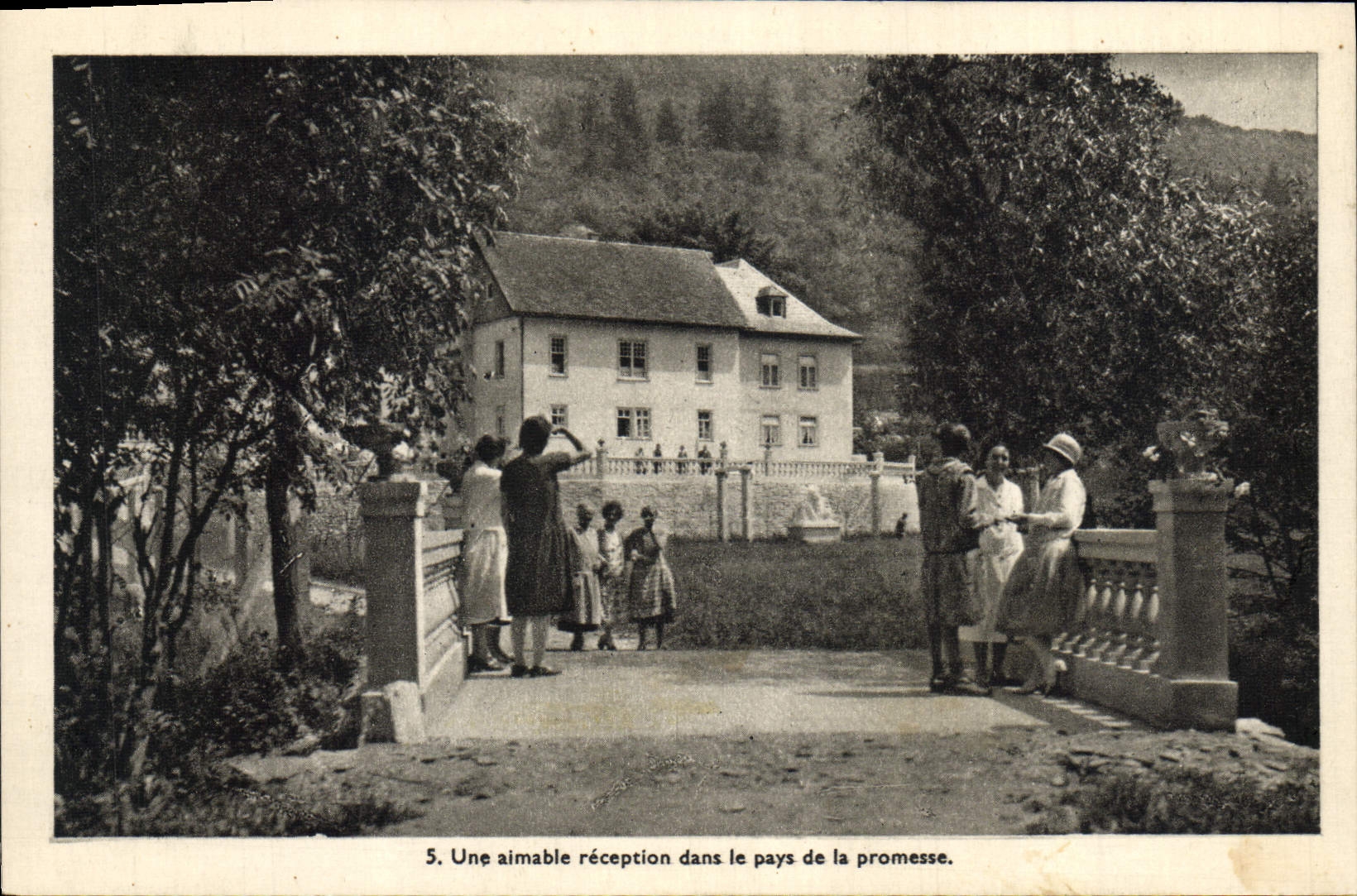 VINTAGE POSTCARD country of the promise