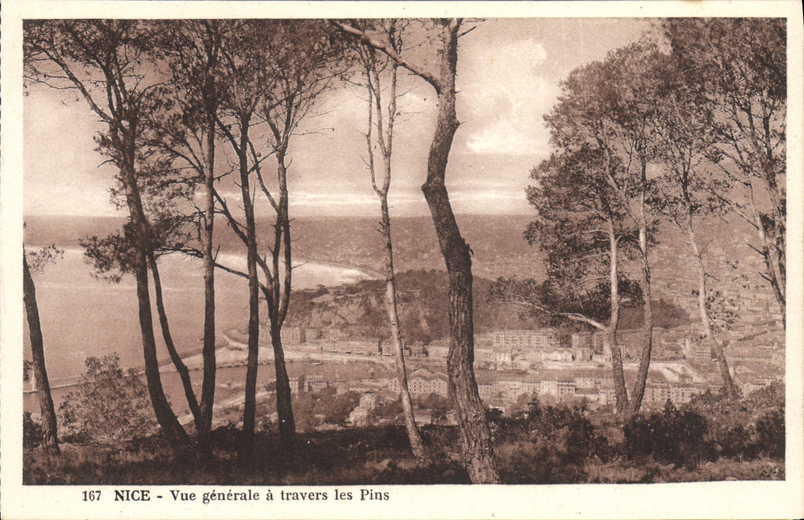 Opinión de la POSTAL de la VENDIMIA Niza a través de los pinos