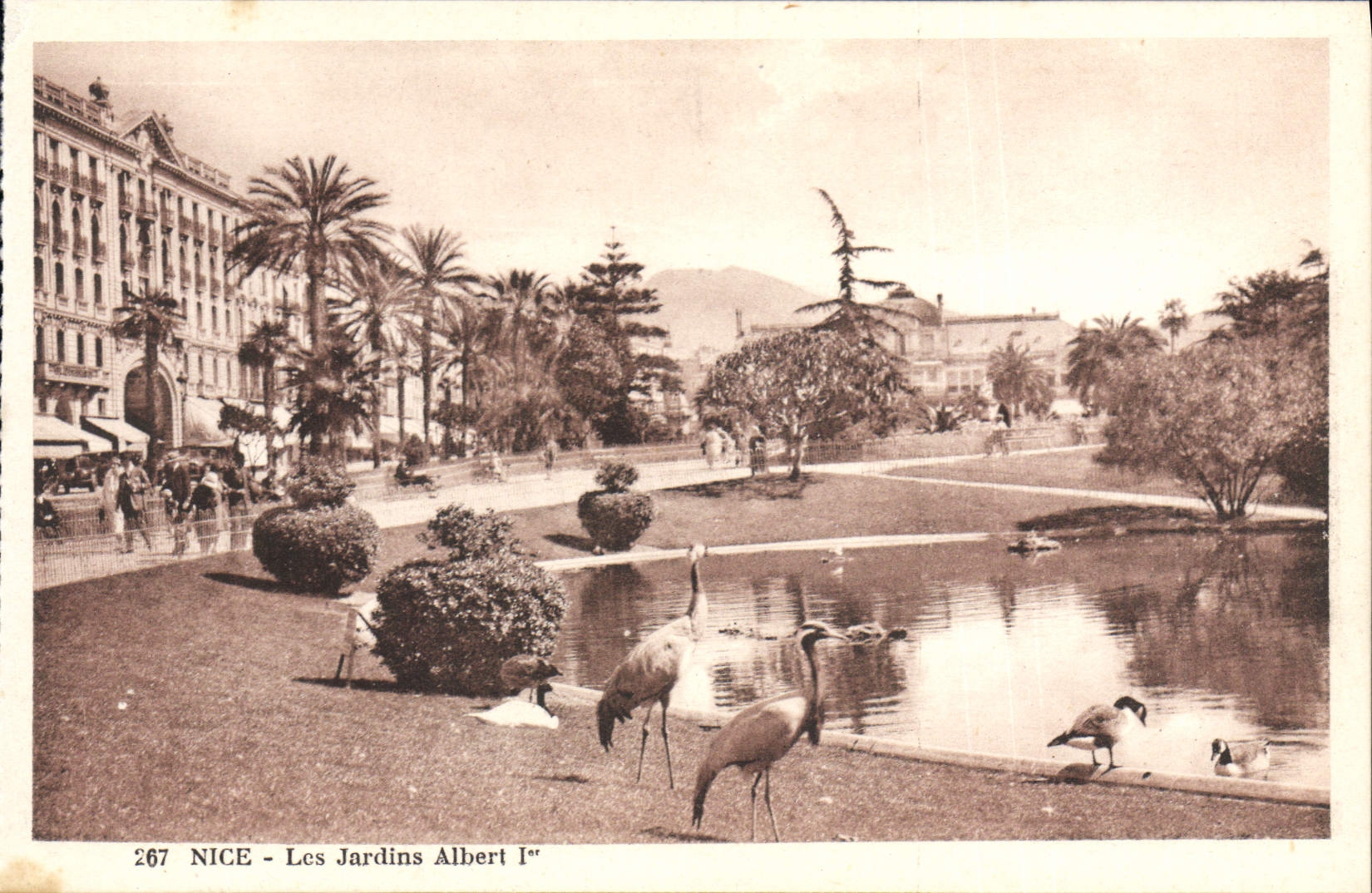VINTAGE POSTCARD Nice the Gardens Albert 1st