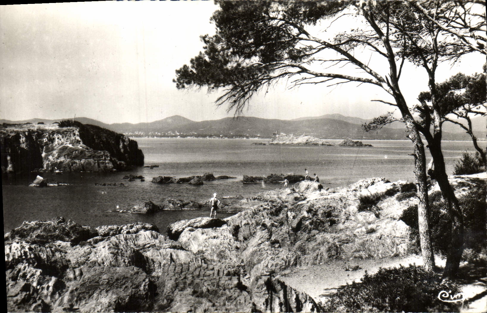 CPM Environs de St Raphael Pittoresque bord de mer a Santa Lucia