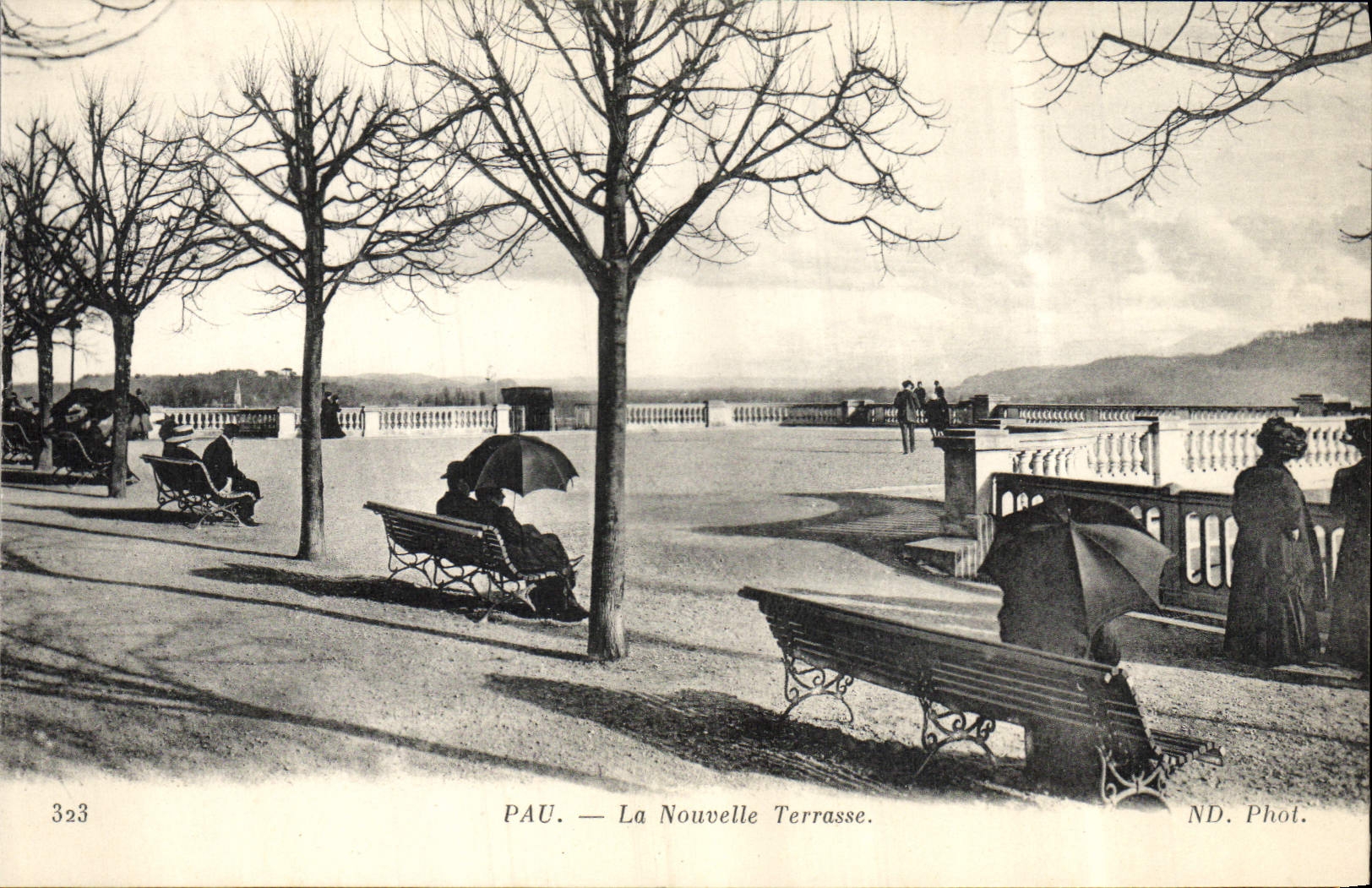 POSTAL Pau de la VENDIMIA la nueva terraza