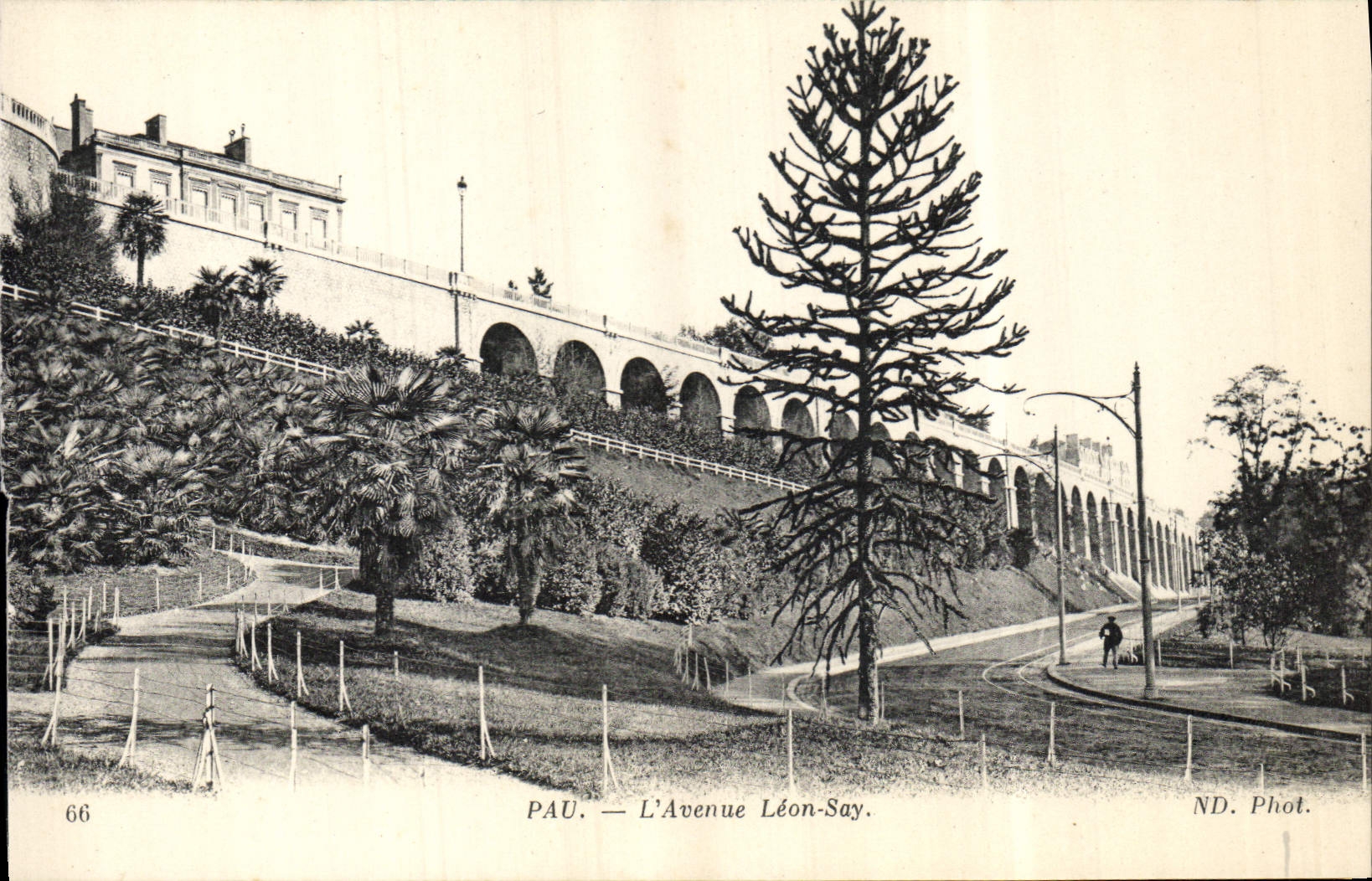 POSTAL Pau de la VENDIMIA que la avenida Leon dice
