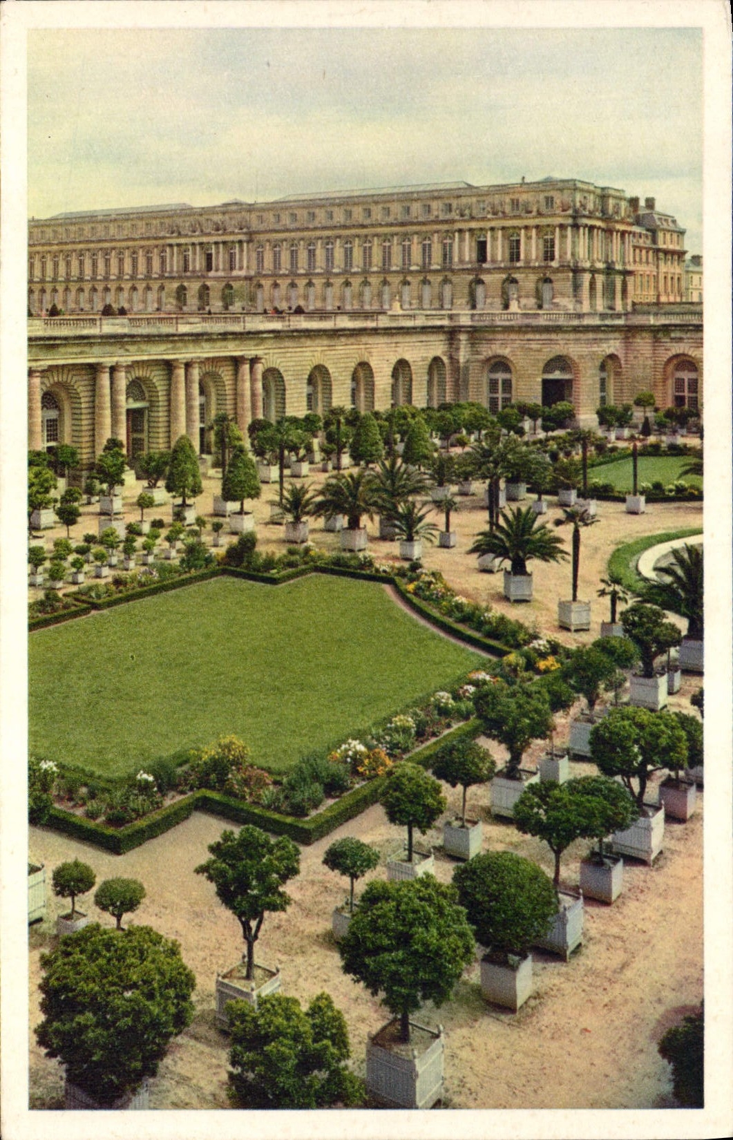 CPA Chateau De Versailles L'Orangerie