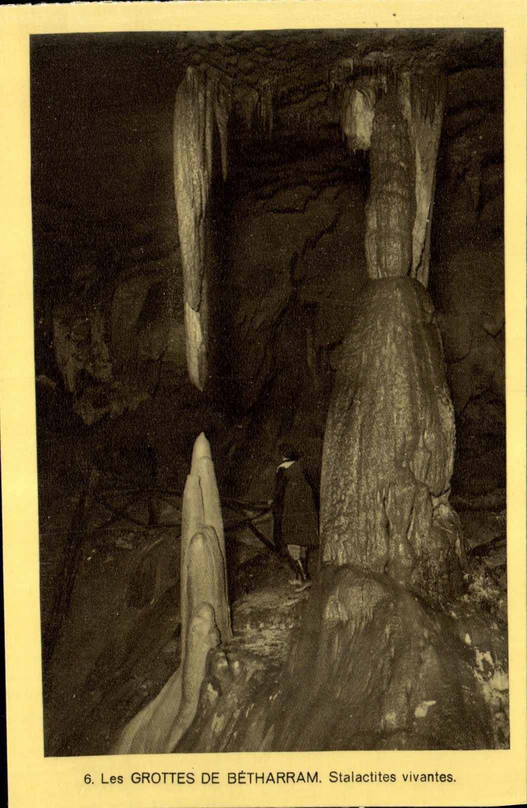 VINTAGE POSTCARD the Caves De Betharram Alive Stalactites