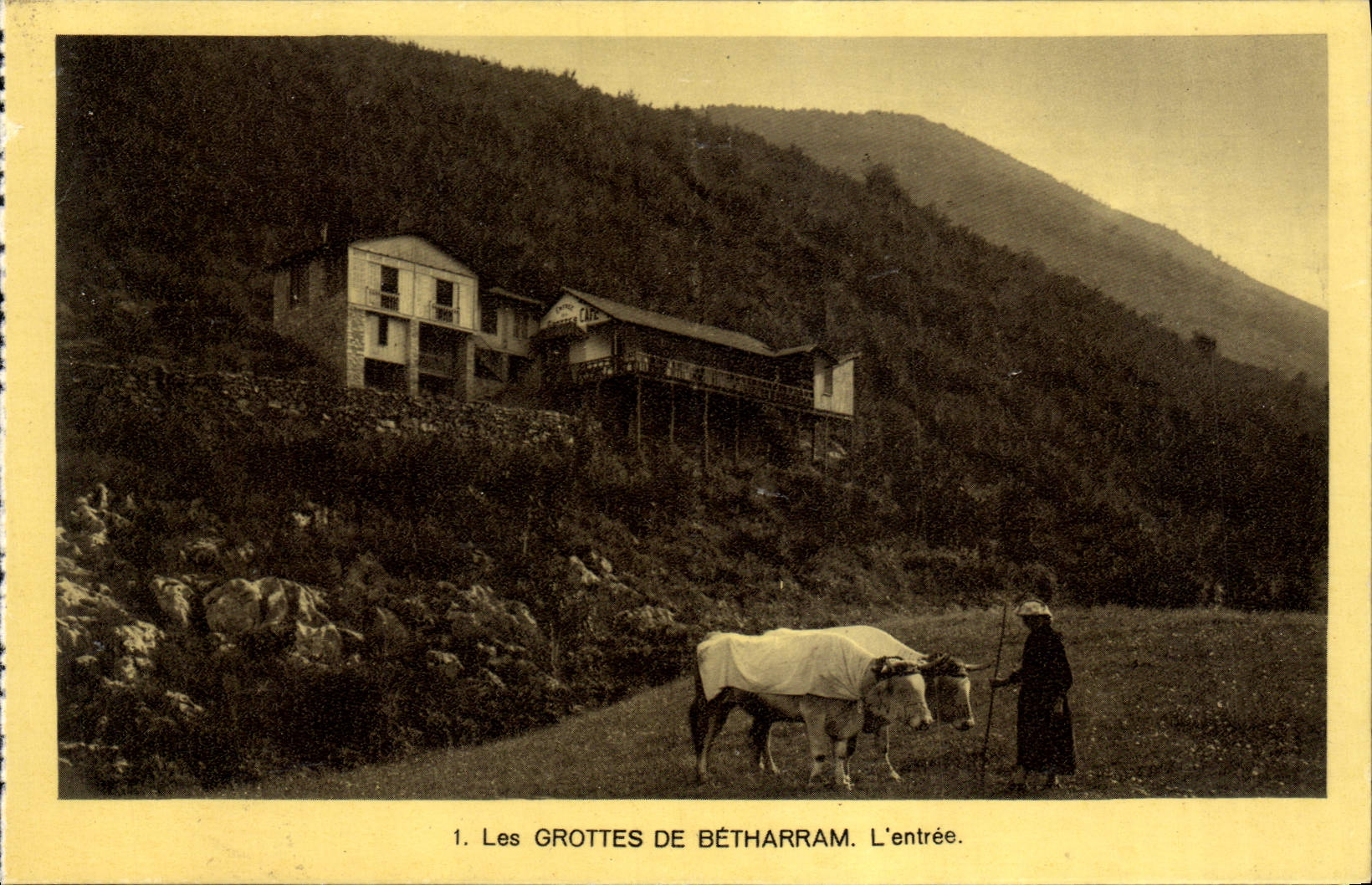 VINTAGE POSTCARD the Caves De Betharram the entry Coach Oxen