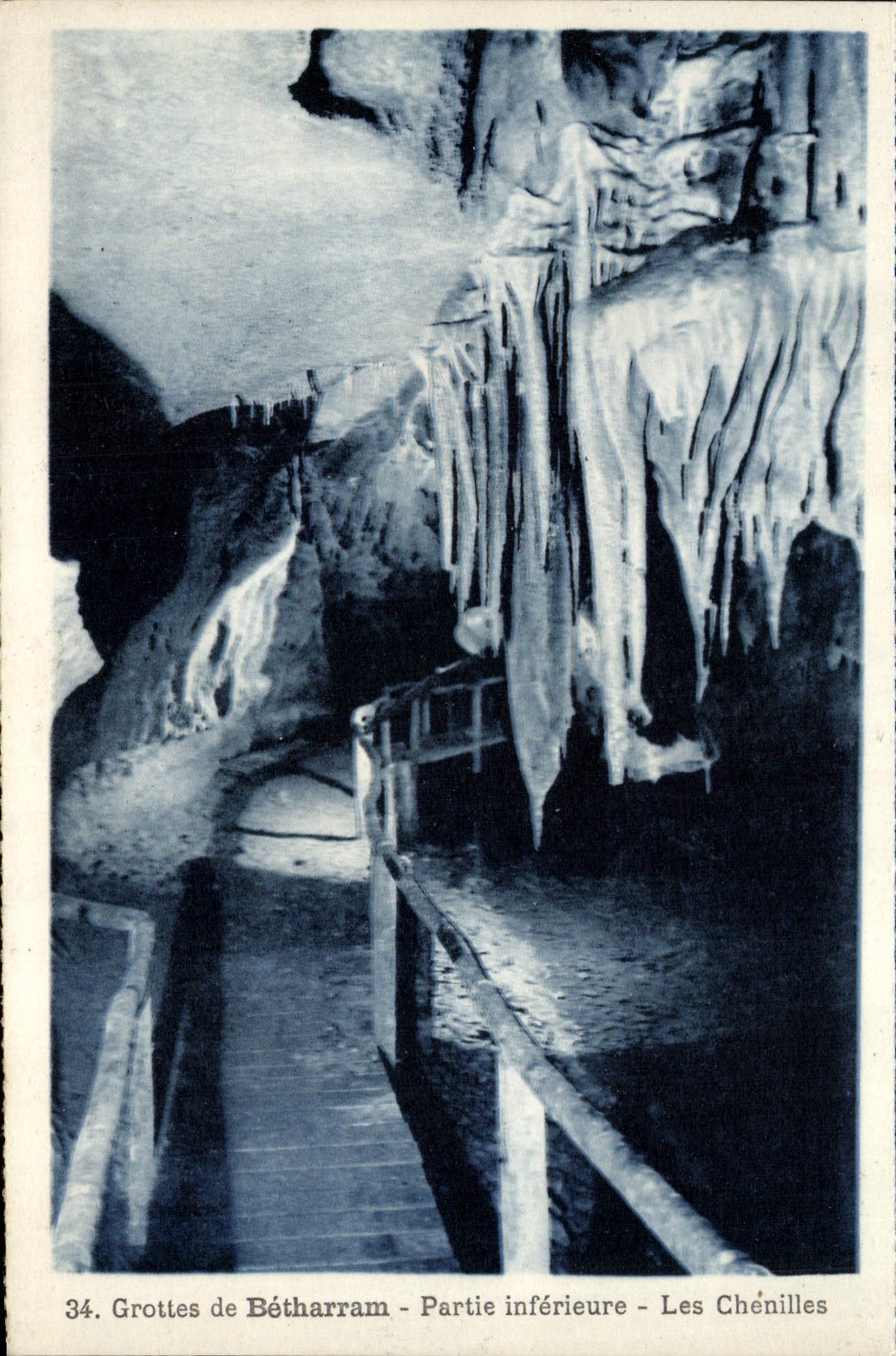 VINTAGE POSTCARD Betharram Caves caterpillars