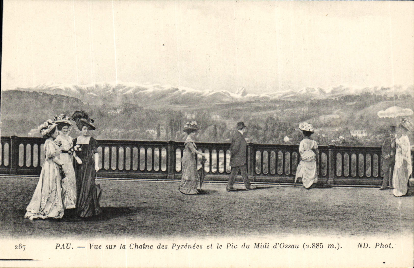 POSTAL Pau de la VENDIMIA vista en la cadena de los Pyrenees y el pico del sur de Ossau